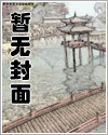 天空、晶石、光，交织的日子──猫与鸟